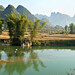 Ky Ngo Photo 36