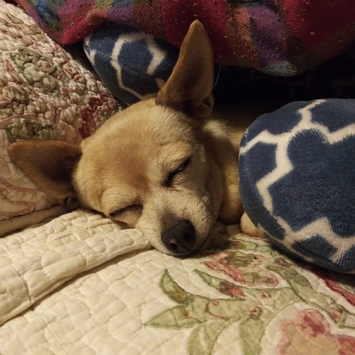 Darlene Mcconnell Photo 3