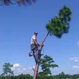 Timothy Jennings Photo 14