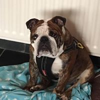 Michael Hogg Photo 32