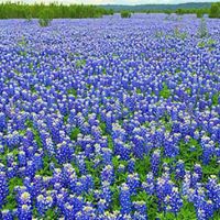 Christina Staley Photo 14