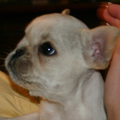Grace Quinlan Photo 3