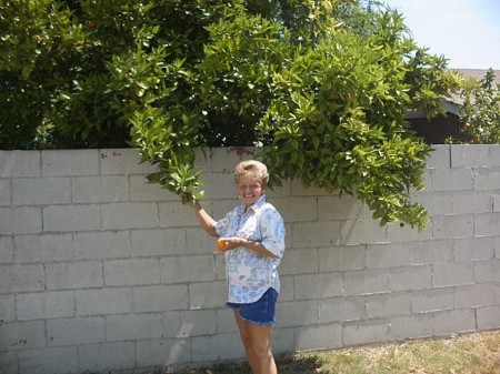 Alice Johnson Photo 29