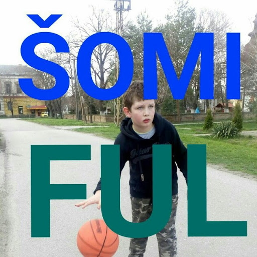 Srdjan Mitic Photo 8