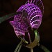 Phillip Martin Photo 24
