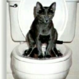 Robin Morin Photo 28