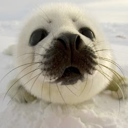 Casey Robinson Photo 30 Casey Robinson Photo 30