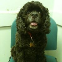 Carolyn Tyler Photo 9