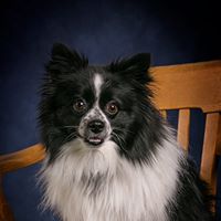 Cheryl Stevenson Photo 19