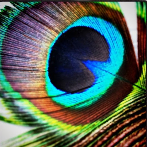 Kathy Peacock Photo 11