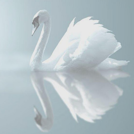 Christine Whiting Photo 3