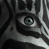 Irene Jennings Photo 19