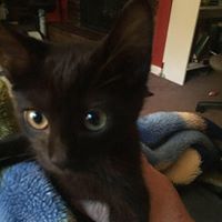 Deborah Patten Photo 12