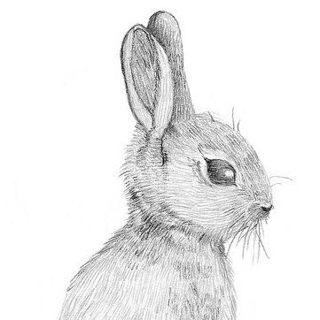 Martha Atkins Photo 35