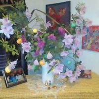 Bruce Lange Photo 17