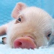 Stephanie Luna Photo 22