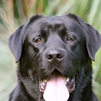 Roberta Henderson Photo 35