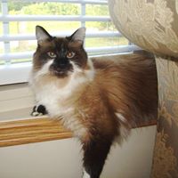 Trudy Roberts Photo 7