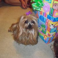 Richard Redd Photo 11