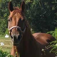 Kimberly Rushing Photo 14