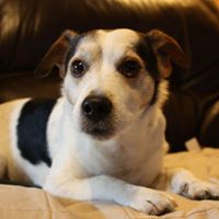 Sandra Potts Photo 25