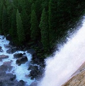 Kathryn Carter Photo 5