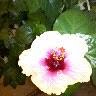 Debra Browning Photo 28