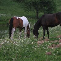 Linda Muller Photo 22