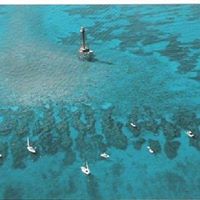 Teresa Horne Photo 13