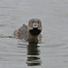 Bill Hebert Photo 21