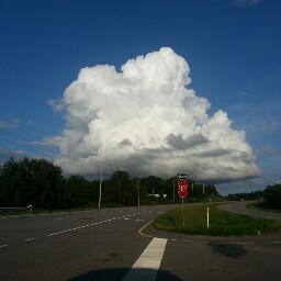 Teresa Garner Photo 19