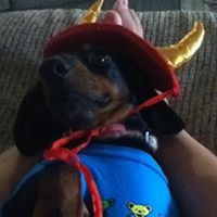 Pamela Eggers Photo 5