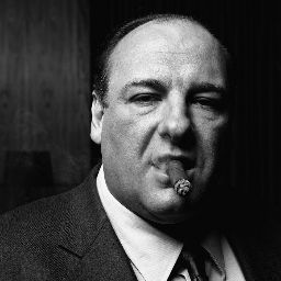 Stephen Fish Photo 22