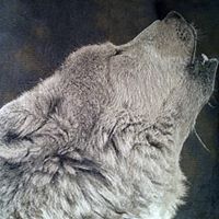 Tracy Feldman Photo 19