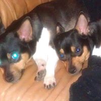 Robert Garris Photo 21