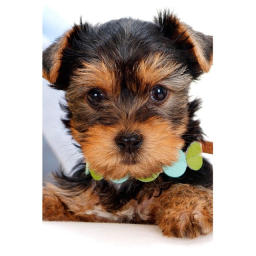 Sarah Galloway Photo 30