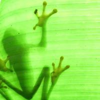 Sandra Firth Photo 8