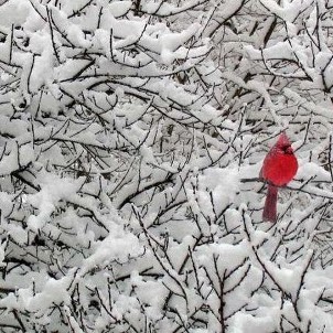 April Richards Photo 16