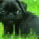 Andrew Roland Photo 16