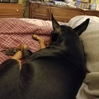 Joseph Hoskins Photo 13