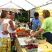 Susan Gruber Photo 10