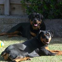 Kathy Youngblood Photo 38