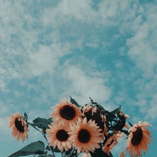 Shannon Fitzgerald Photo 24