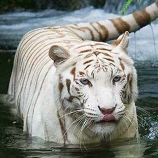 Christina Butcher Photo 26