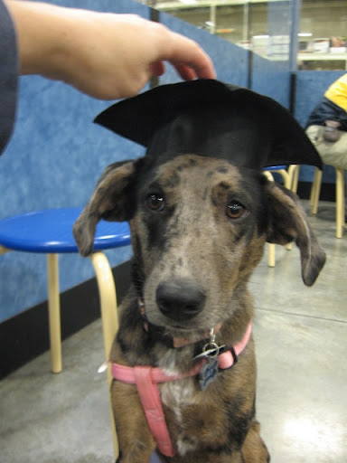 Julie Falconer Photo 7