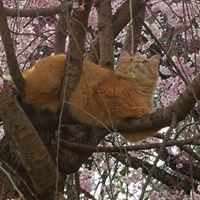 Catherine Groff Photo 4