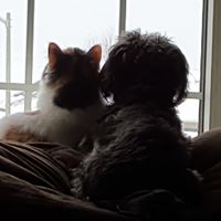 Denise Seeger Photo 12