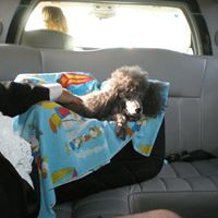 Kevin Mclaughlin Photo 28 Kevin Mclaughlin Photo 28