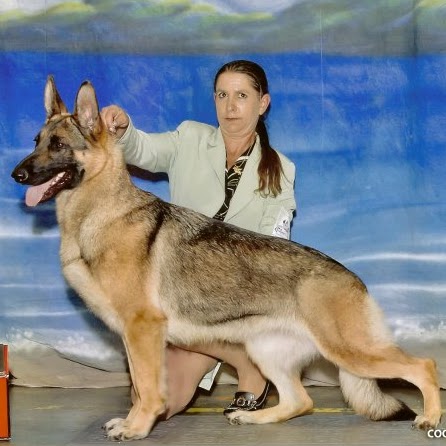 Brenda Shepard Photo 14