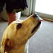 Jenny Phipps Photo 26